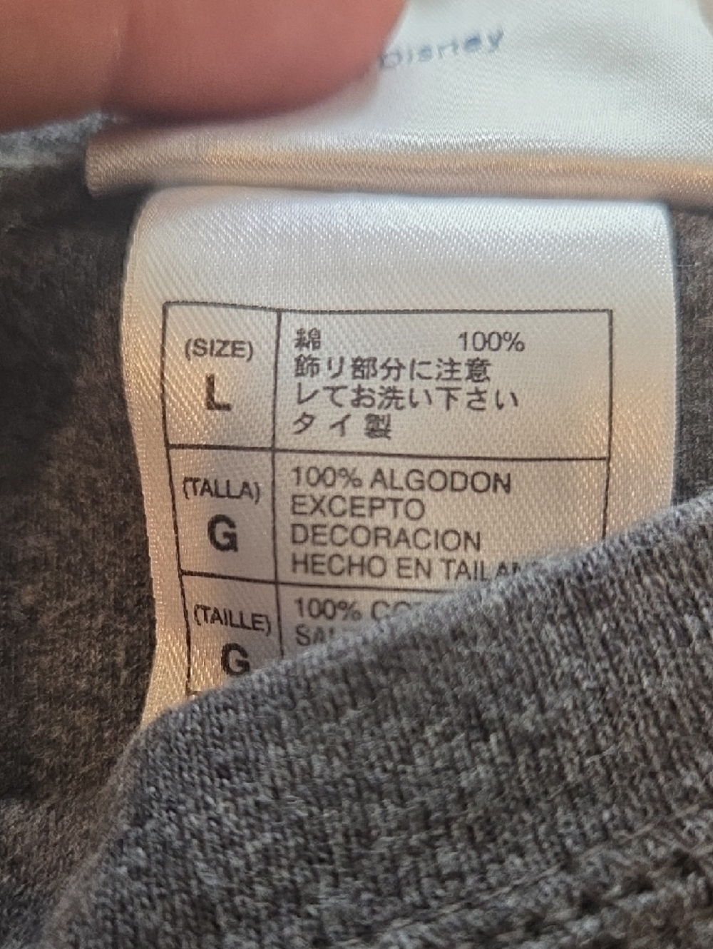Disney Gray Disneyland 1955 Embroidered Sweatshirt - Picture 6 of 6